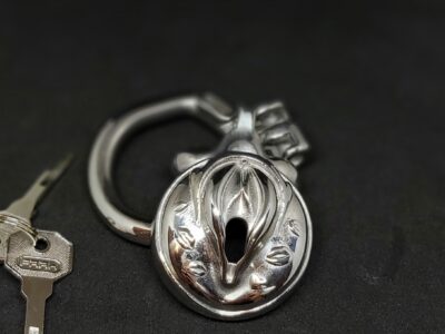 Cage de chasteté acier vagin