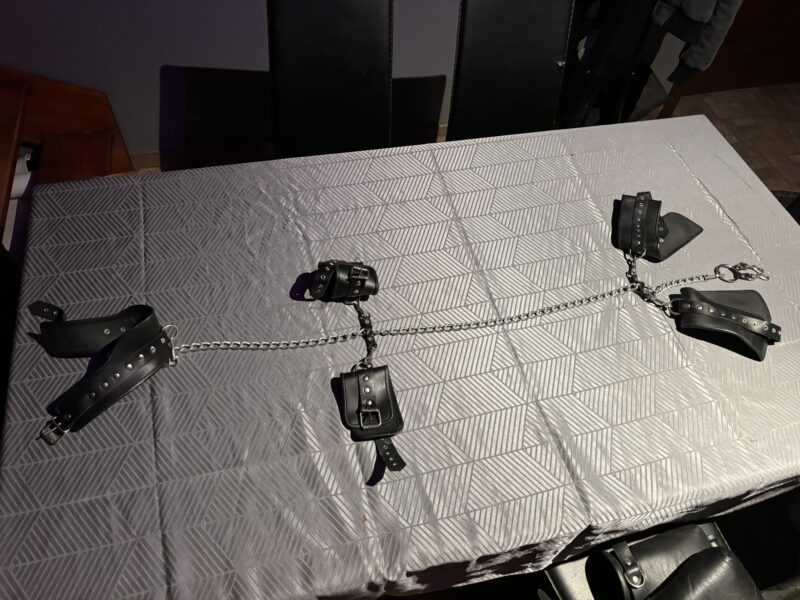 Harnais 5 attaches