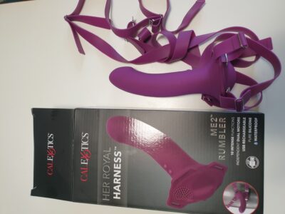 gode ceinture Calexotics