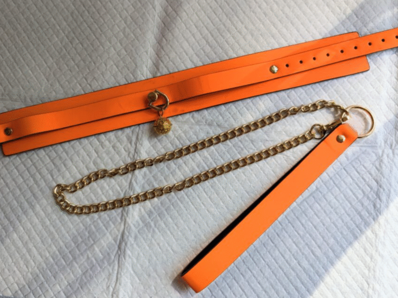 Collier et laisse orange