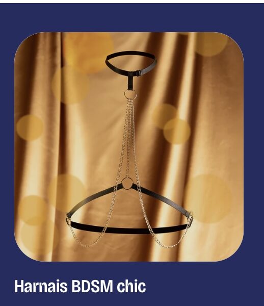 Harnais bdsm