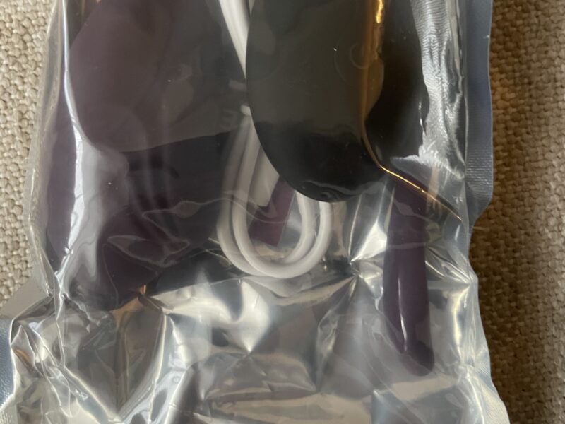 L’œuf a télécommande