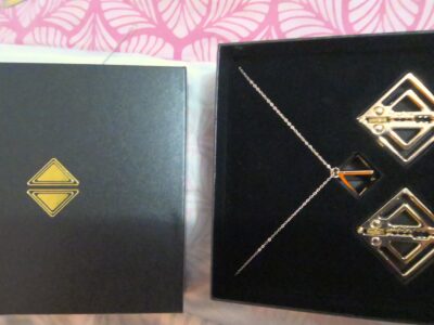 2 pince tétons et collier