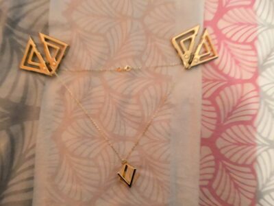 2 pince tétons et collier