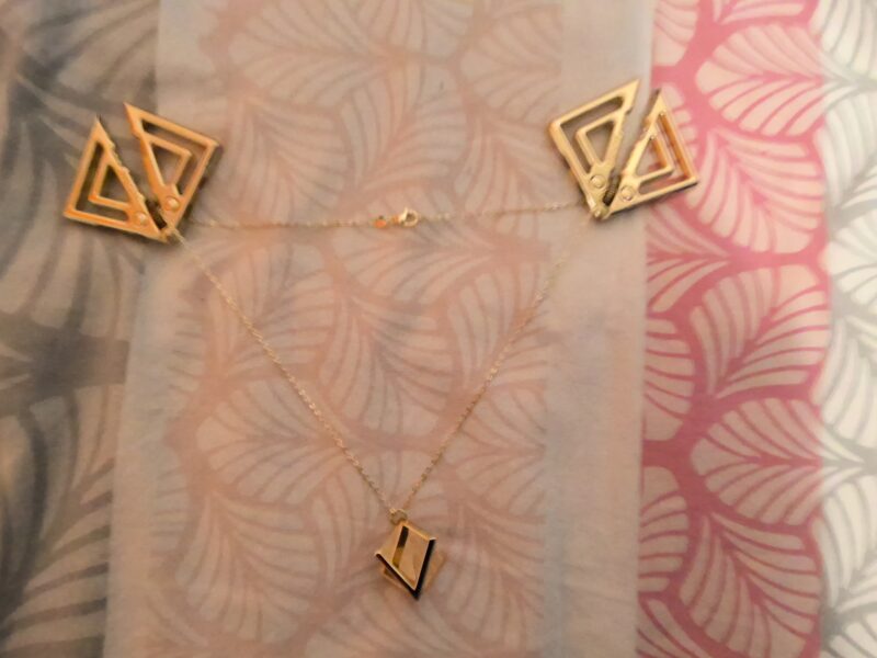 2 pince tétons et collier