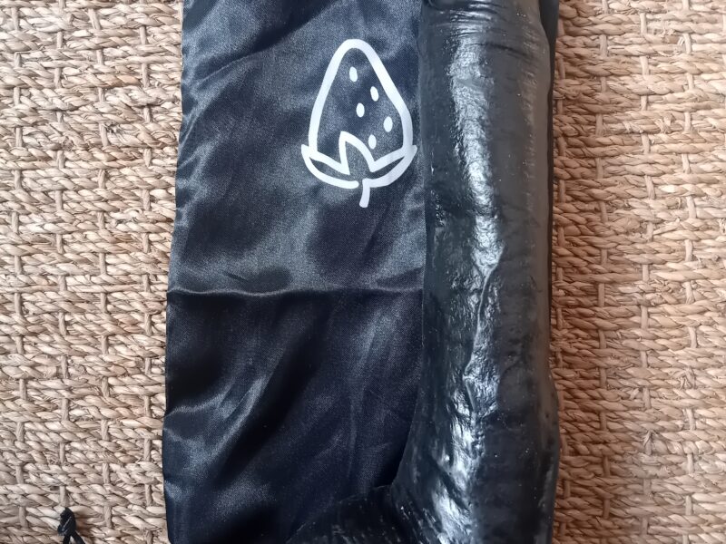 Godemichet Réaliste XXL