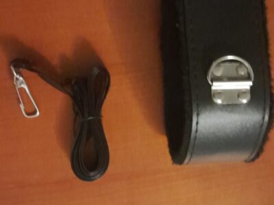 collier et laisse