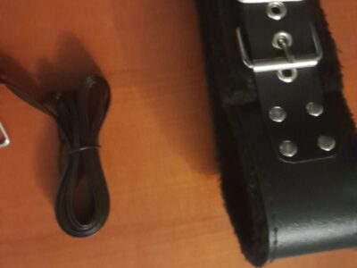 collier et laisse