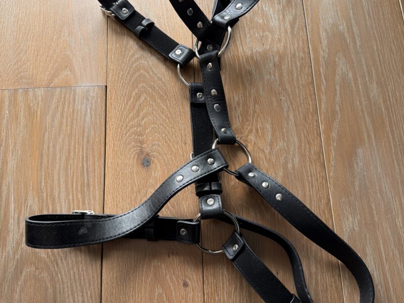 Harnais cuir - neuf