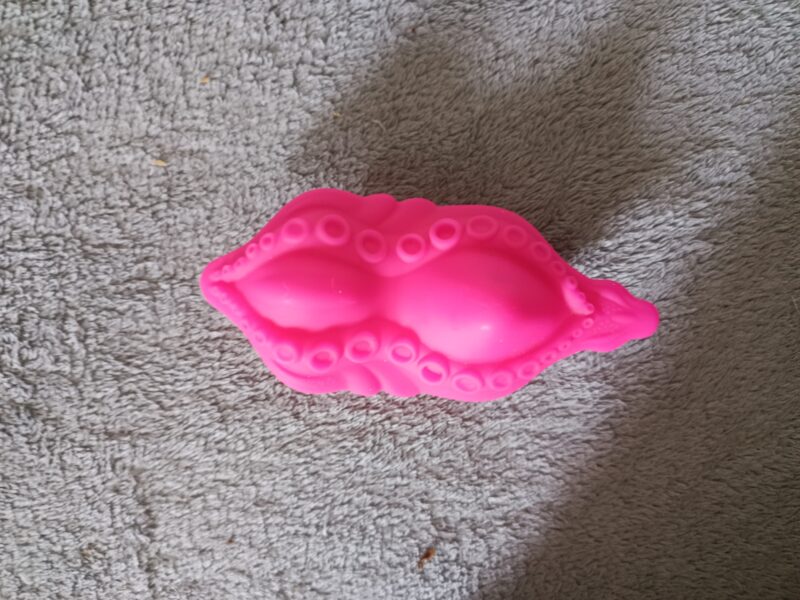 Vibro poulpe