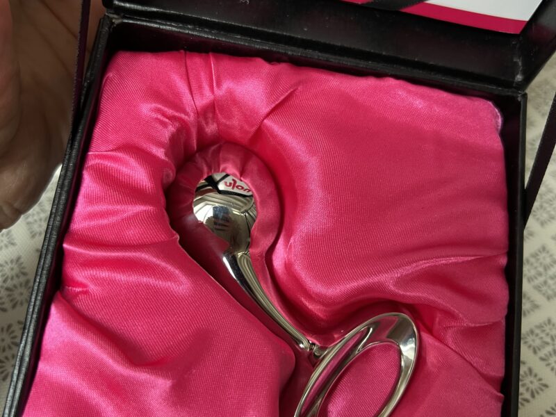 Njoy Plug Anal Medium