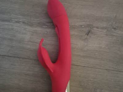 Vibromasseur rabbit