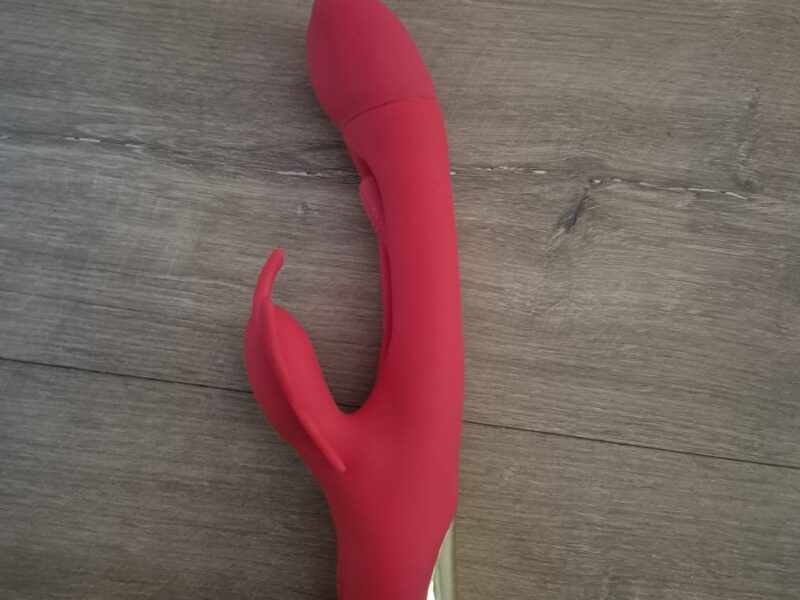 Vibromasseur rabbit