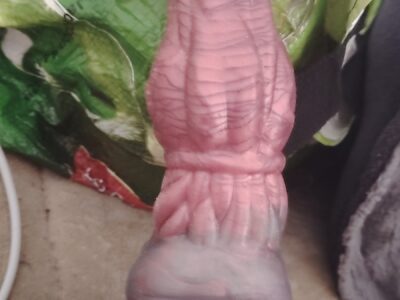 Gode cheval taille moyen
