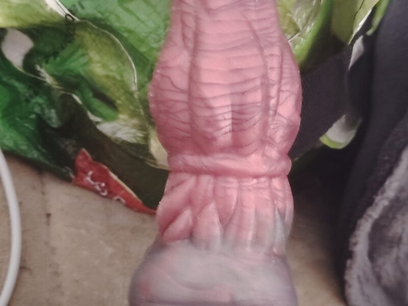 Gode cheval taille moyen