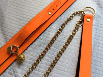 Laisse+collier Luminous