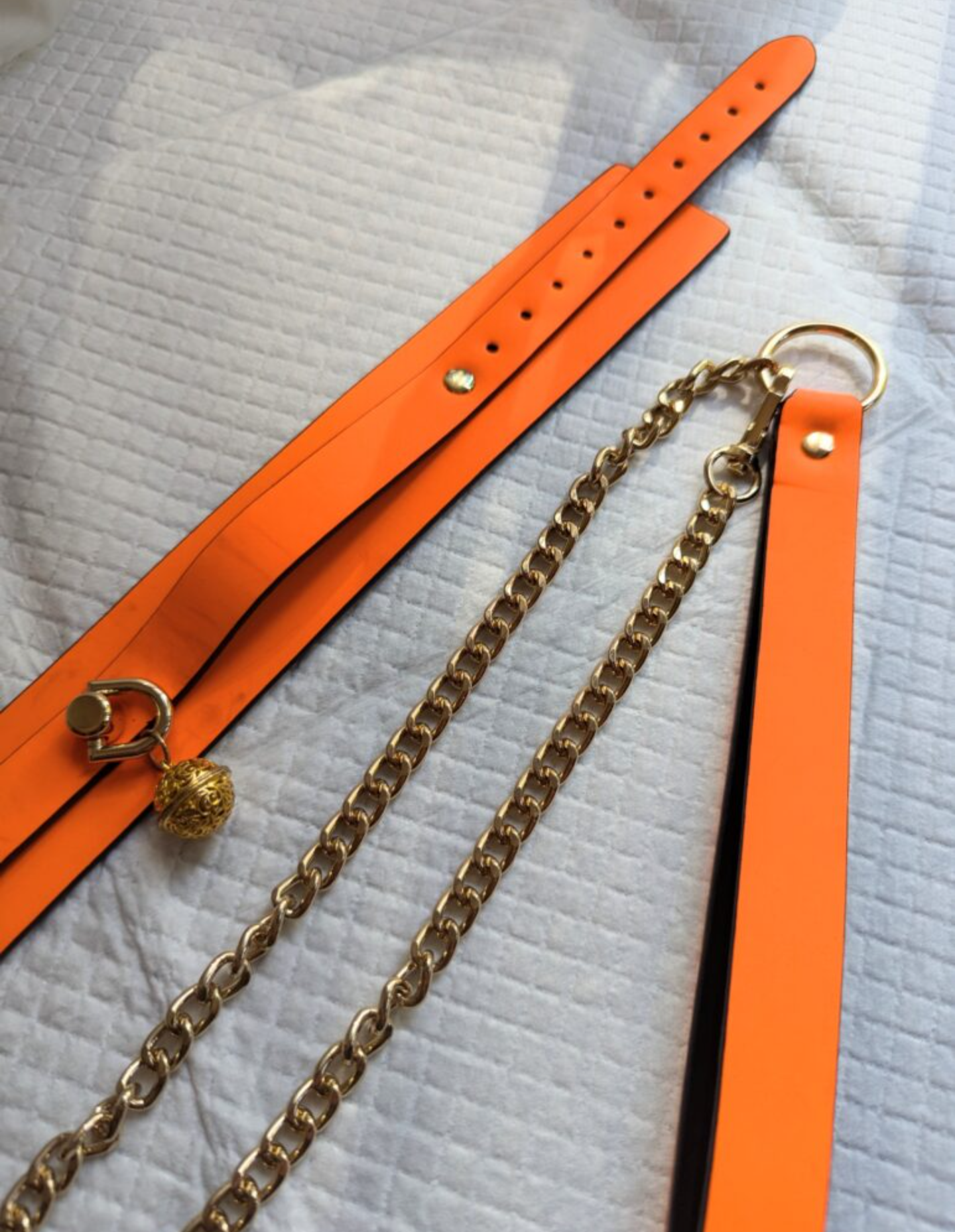 Laisse+collier Luminous