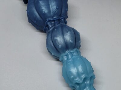 Seashell S