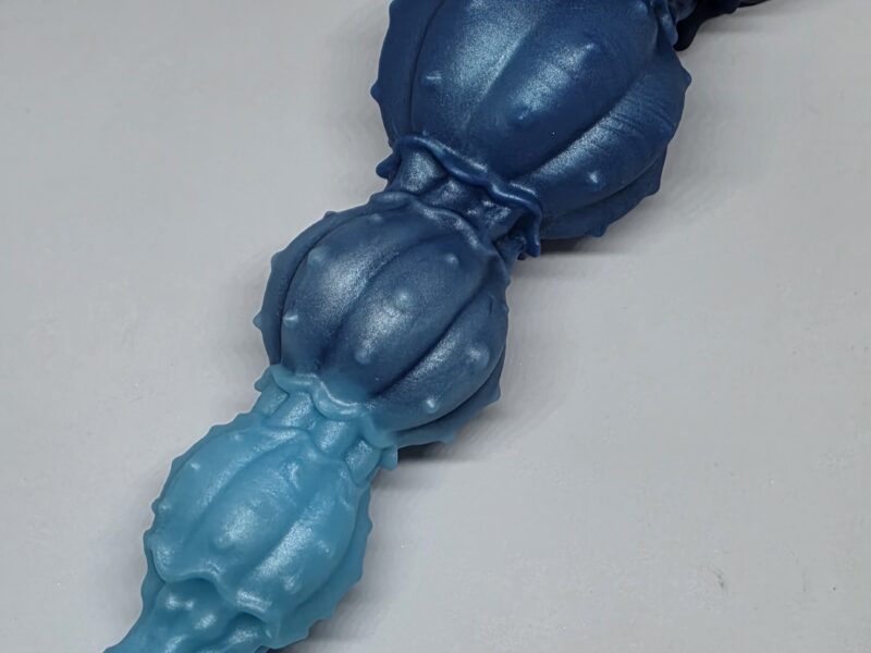 Seashell S