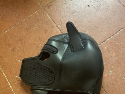 Masque / cagoule dog