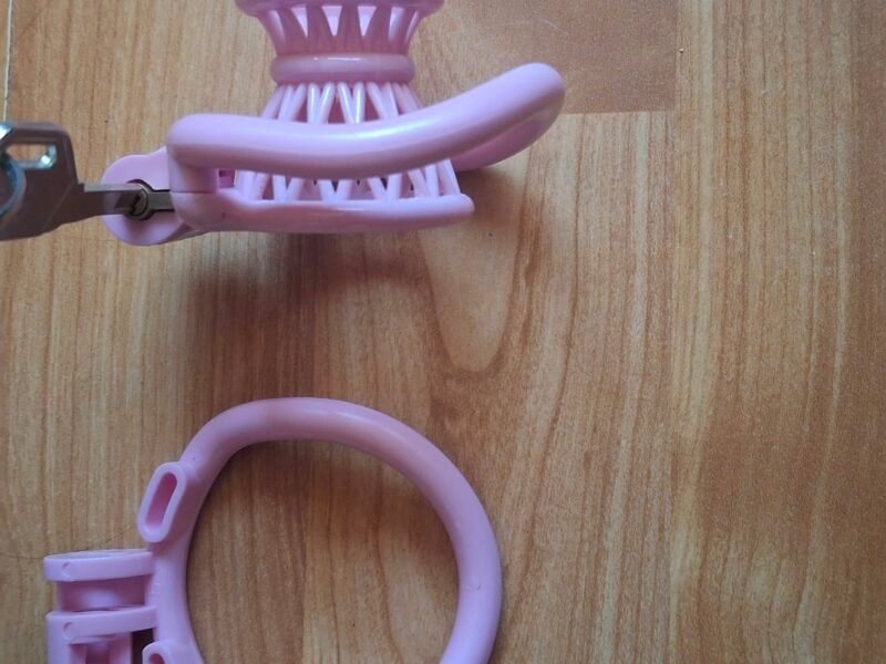 Cage de chasteté inversée
