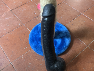 gode XXL-34 cm insérable