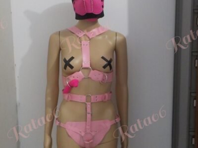 Pink Hound Dog
