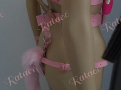 Pink Hound Dog