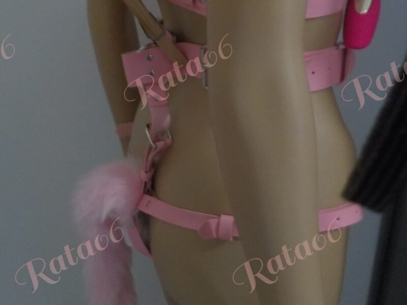 Pink Hound Dog