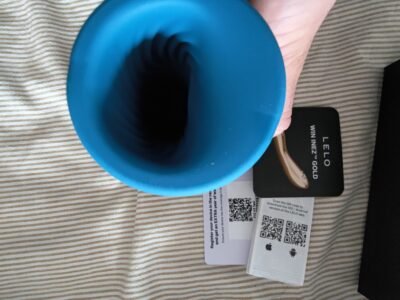 Lelo F1S V3