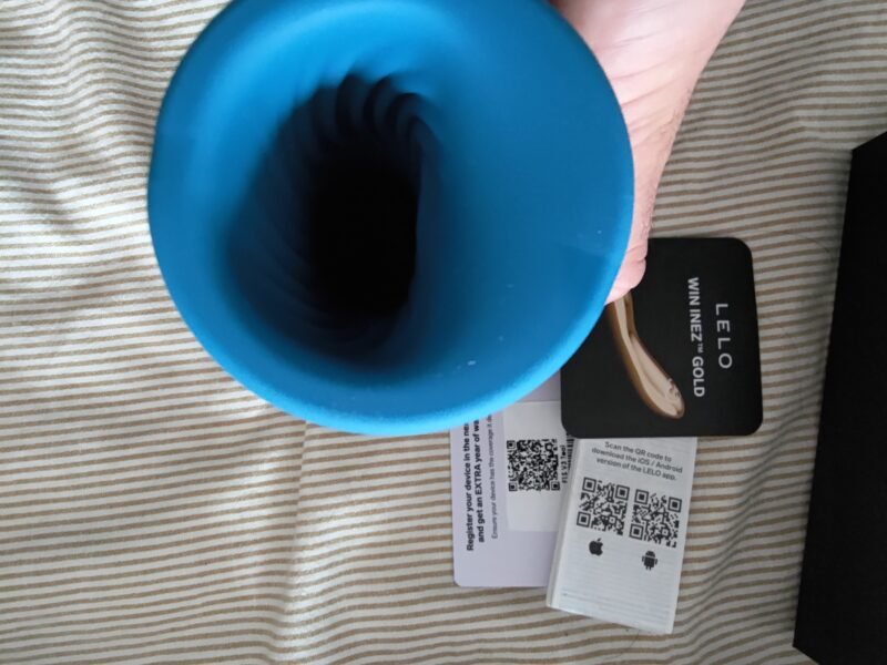 Lelo F1S V3